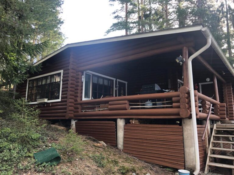 Hirsimökki ennen käsittelyä