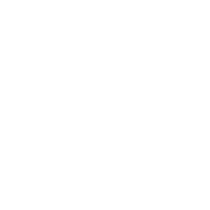 Väri X Oy logo